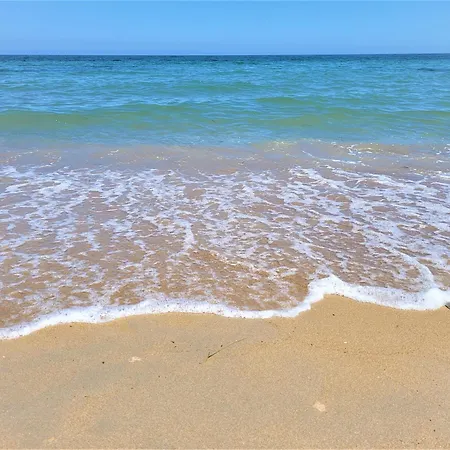 At Seafront With Private Garden-655 Holiday home