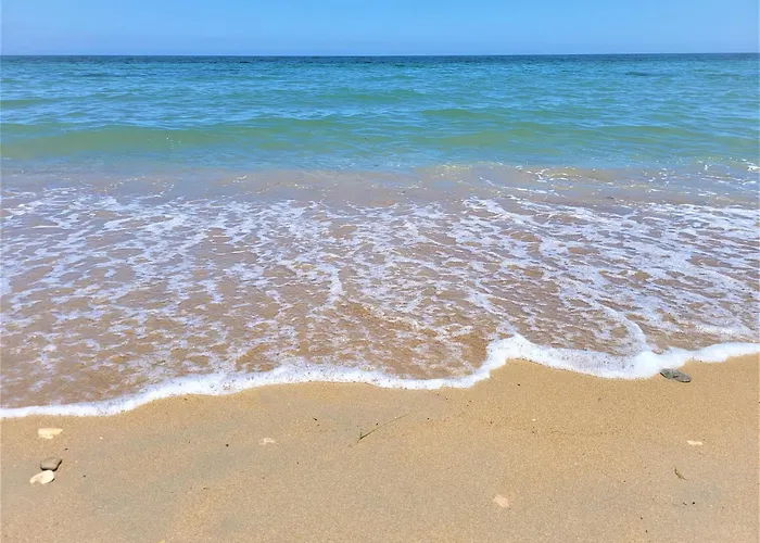 At Seafront With Private Garden-655 Holiday home